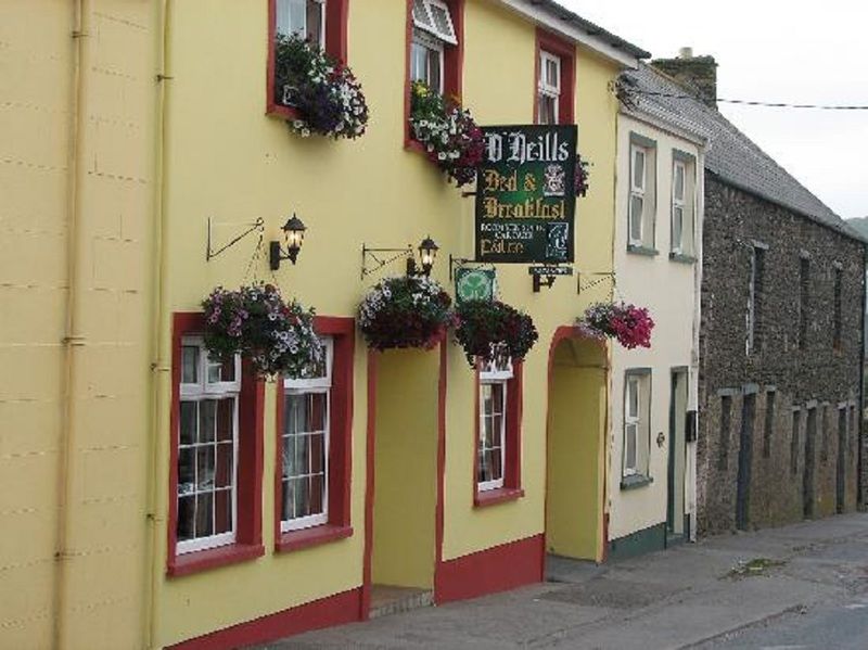 O Neills Bed And Breakfast Dingle Ngoại thất bức ảnh